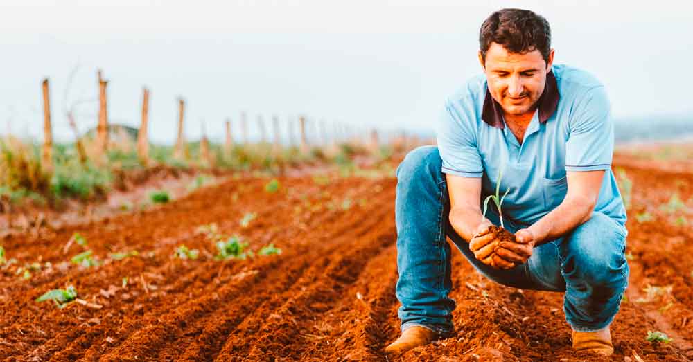 Preciso voltar para a lavoura para ter direito a aposentadoria híbrida?