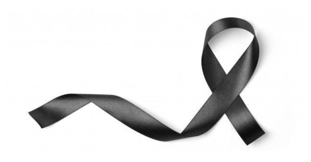 pensão por morte - martins advogados