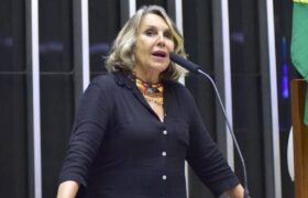 Quem é Erika Kokay a nova pessola a cuidar do PLP 42